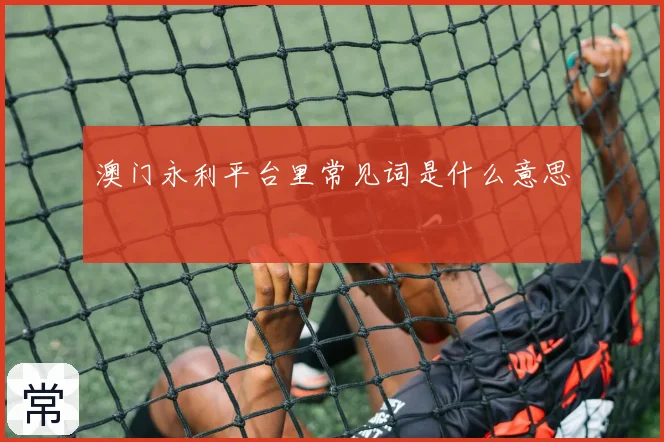 澳门永利平台里常见词是什么意思